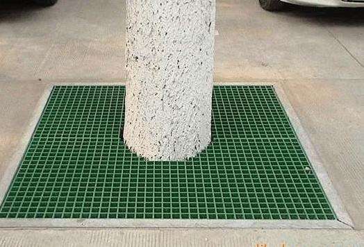 ظ